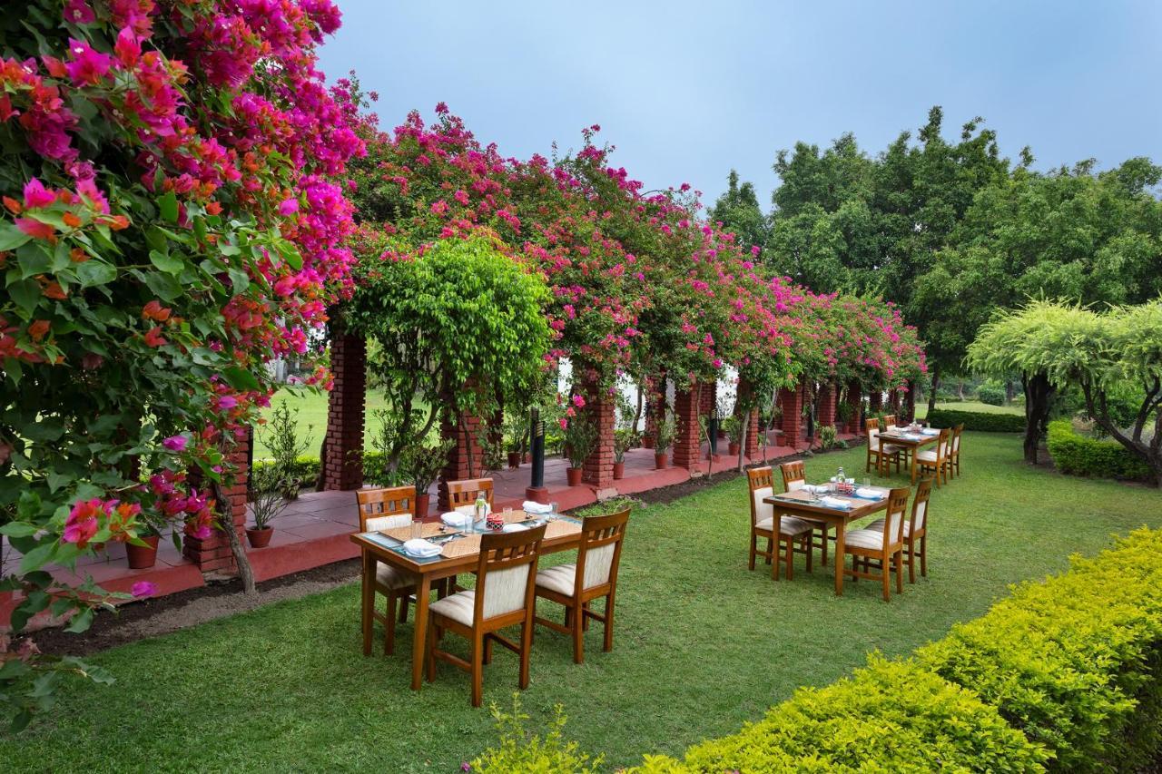 Naturoville Wellness Resort Rishikesh - Surrounded By Nature, Rooted In Wellness Doiwāla מראה חיצוני תמונה